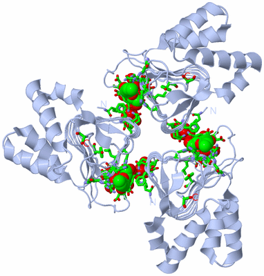 Image Biol. Unit 1 - sites