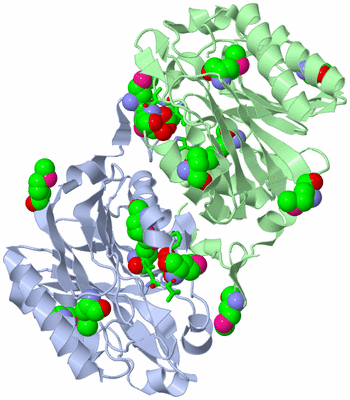 Image Biol. Unit 1 - sites