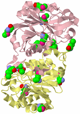 Image Biological Unit 2