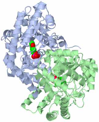 Image Asym./Biol. Unit