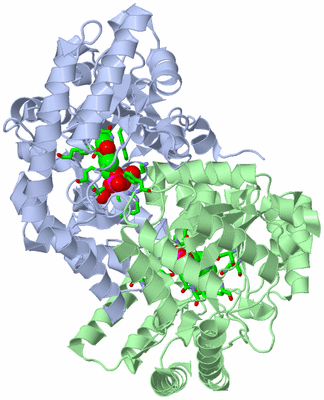 Image Asym./Biol. Unit - sites