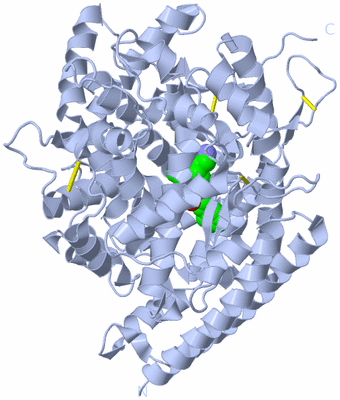 Image Biological Unit 1