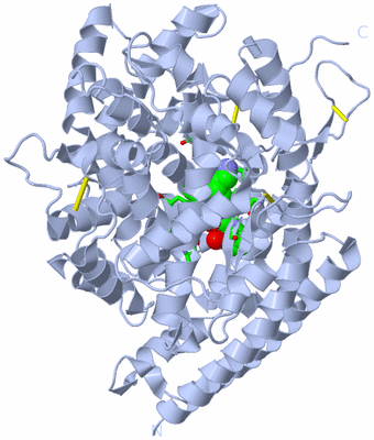 Image Biol. Unit 1 - sites