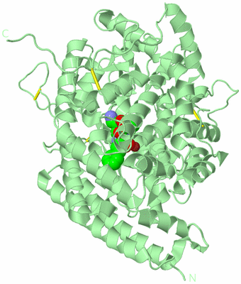 Image Biological Unit 2