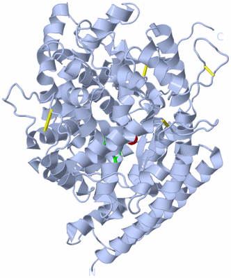 Image Biol. Unit 1 - sites