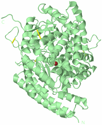 Image Biological Unit 2