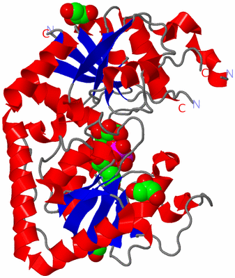 Image Asym./Biol. Unit