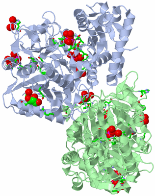 Image Asym./Biol. Unit - sites