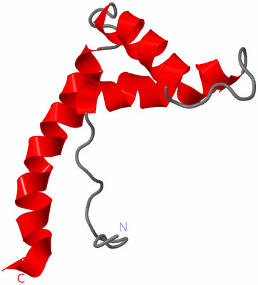 Image NMR Structure - model 1