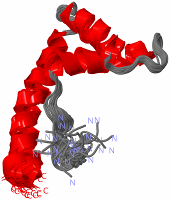 Image NMR Structure - all models