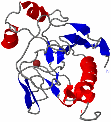 Image NMR Structure - model 1