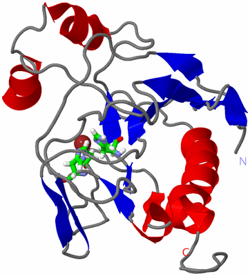 Image NMR Structure - model 1, sites