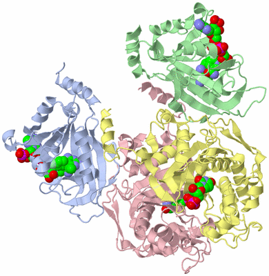 Image Asym./Biol. Unit