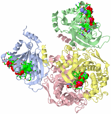 Image Asym./Biol. Unit - sites