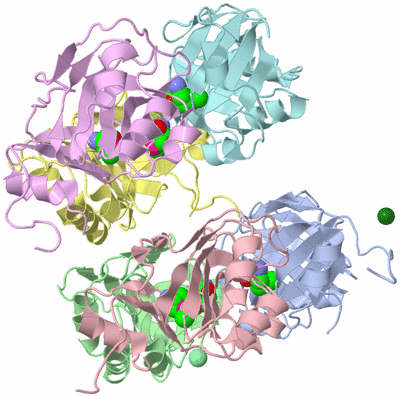 Image Asymmetric Unit