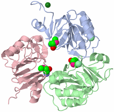 Image Biological Unit 1