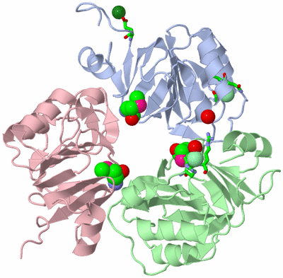 Image Biol. Unit 1 - sites