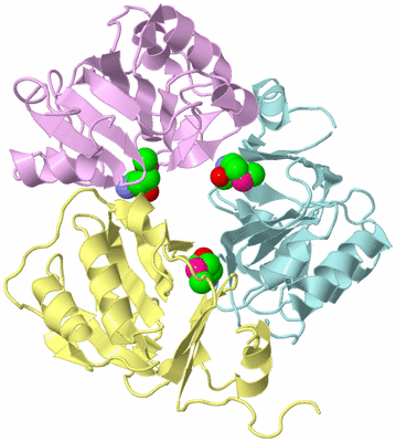 Image Biological Unit 2