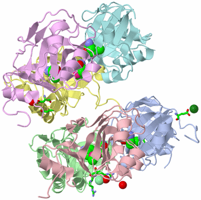 Image Asym. Unit - sites