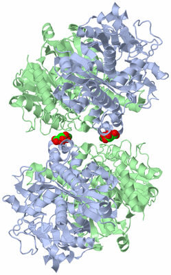 Image Biological Unit 2