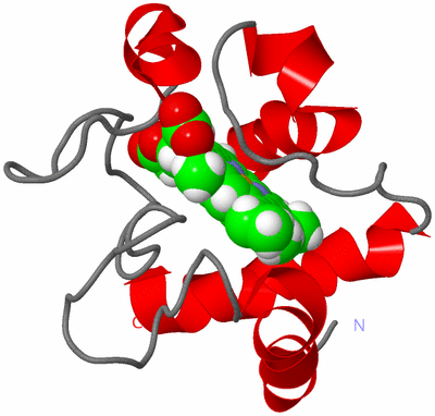 Image NMR Structure - model 1