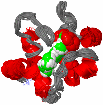 Image NMR Structure - all models