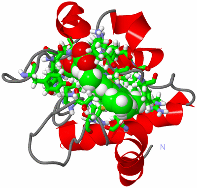 Image NMR Structure - model 1, sites