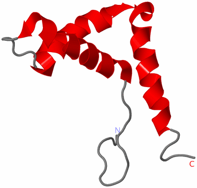 Image NMR Structure - model 1