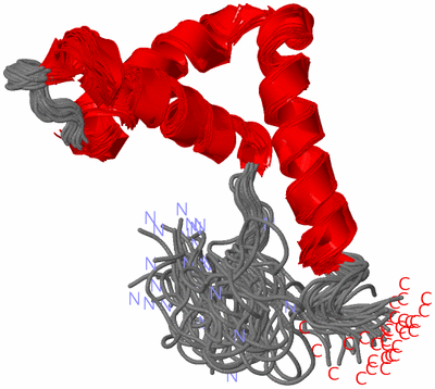 Image NMR Structure - all models