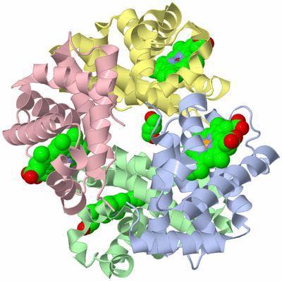 Image Biological Unit 1