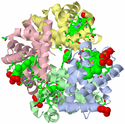 Image Biol. Unit 1 - sites