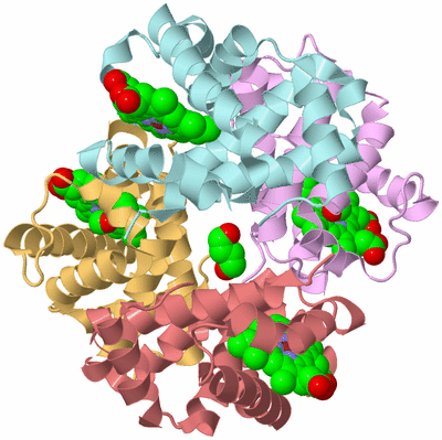 Image Biological Unit 2