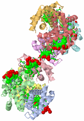 Image Asym. Unit - sites