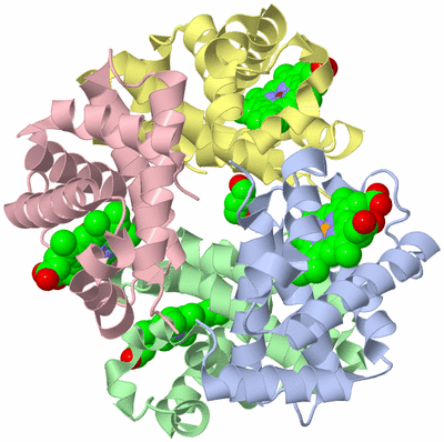 Image Biological Unit 1