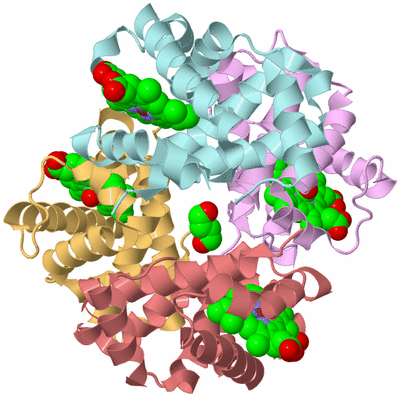 Image Biological Unit 2