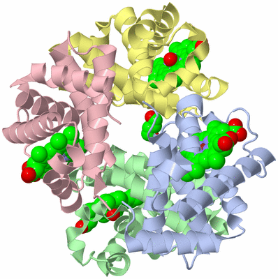 Image Biological Unit 1