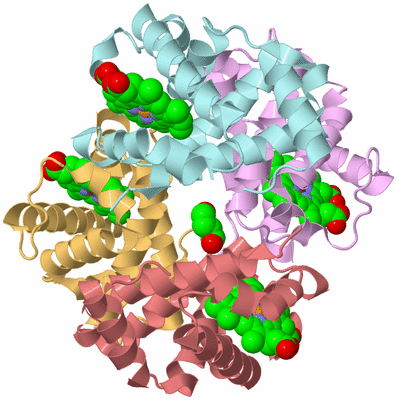 Image Biological Unit 2