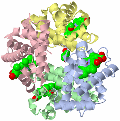 Image Biological Unit 1