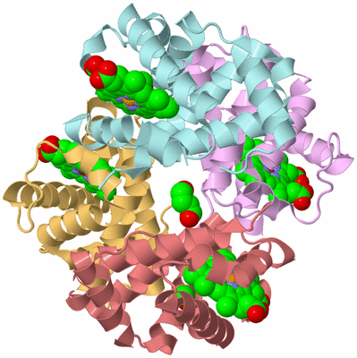 Image Biological Unit 2