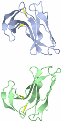 Image Asymmetric Unit
