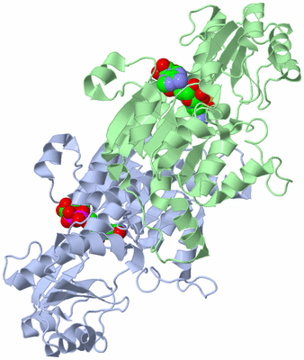 Image Asym./Biol. Unit