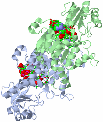 Image Asym./Biol. Unit - sites