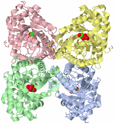 Image Asym./Biol. Unit