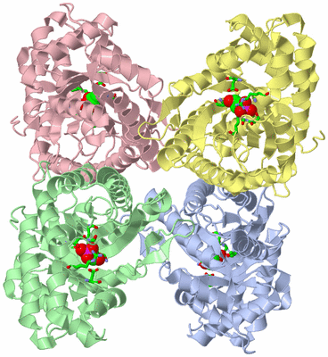 Image Asym./Biol. Unit - sites