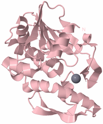 Image Biological Unit 3