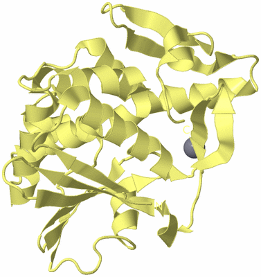 Image Biological Unit 4