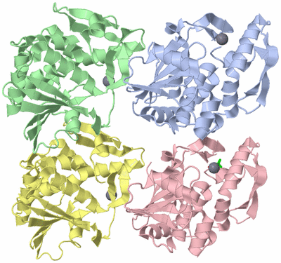 Image Asym. Unit - sites