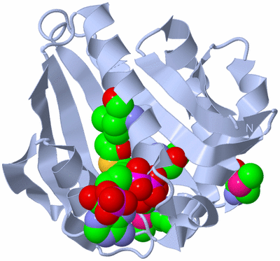 Image Biological Unit 1