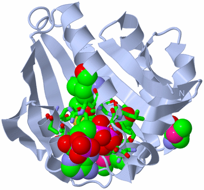 Image Biol. Unit 1 - sites