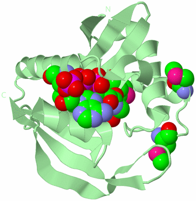 Image Biological Unit 2